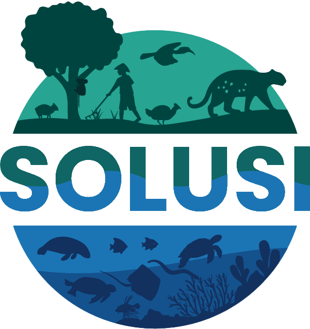 Solusi - Land and Sea