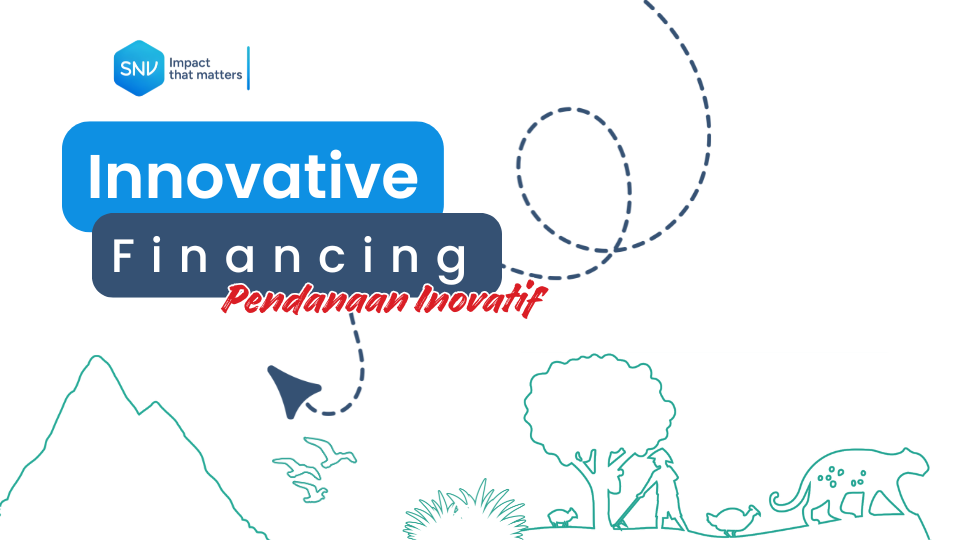 Innovative Financing (Pendanaan Inovatif)